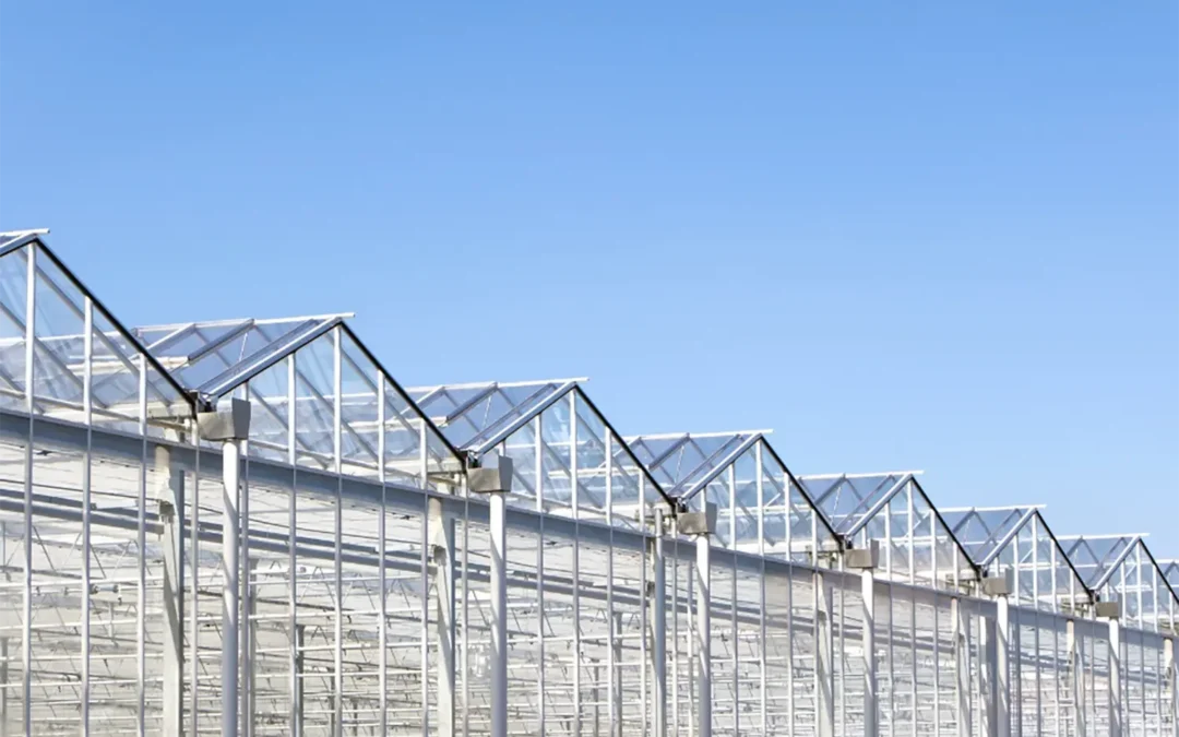 Accu’s, e-boilers en warmtepompen: gamechangers in de glastuinbouw?