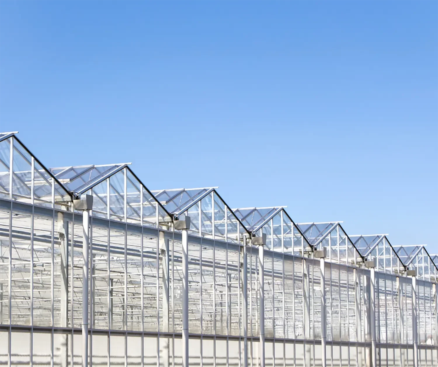 Accu’s, e-boilers en warmtepompen: gamechangers in de glastuinbouw?