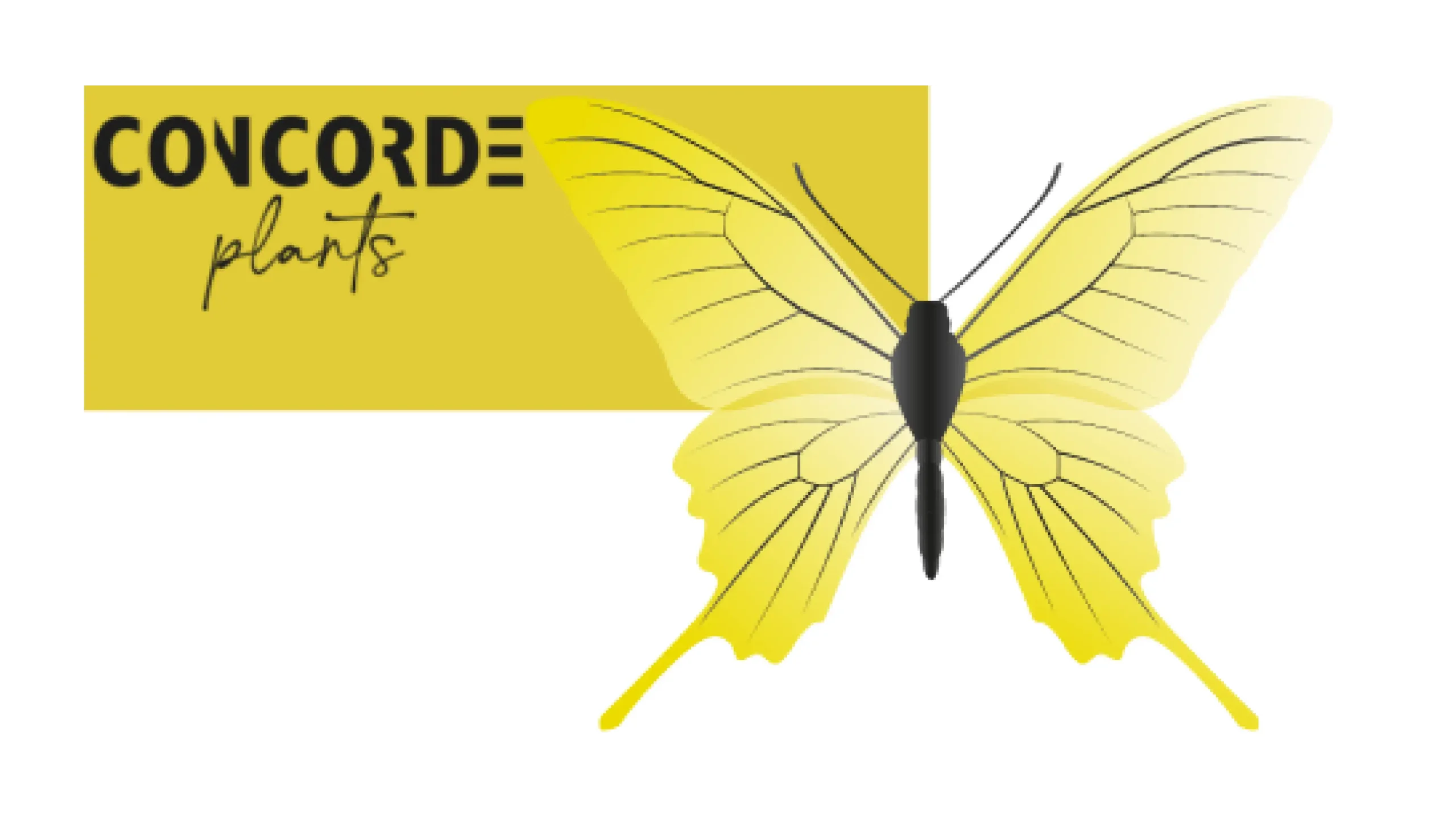 Concorde