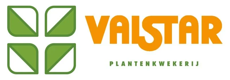 Logo-Valstar-2021