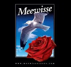 Meewisse