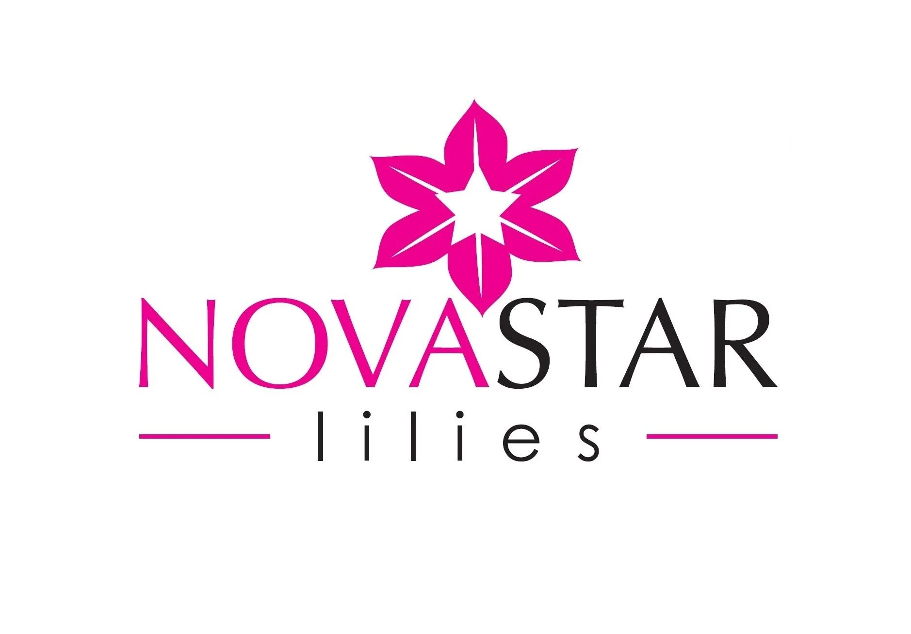 Novastar-Lillies