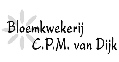 Van-Dijk-