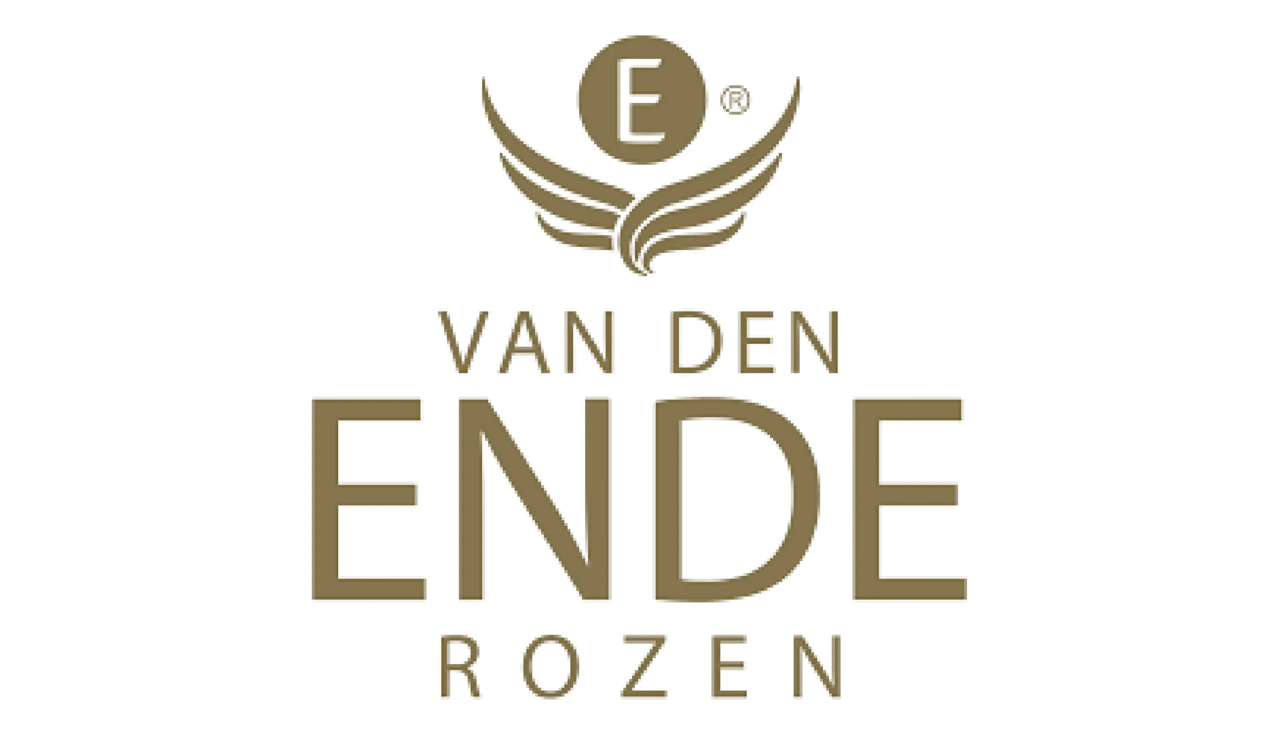 Van der Ende