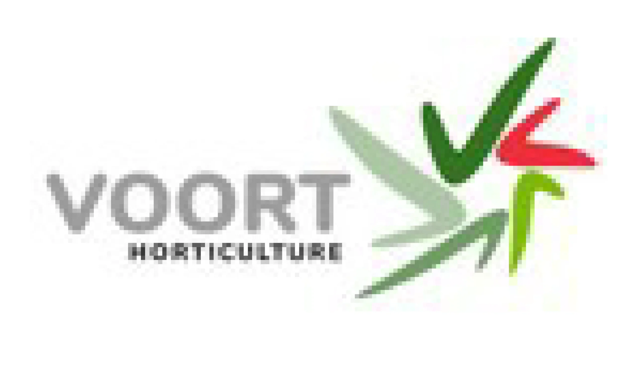 Voort