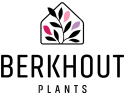 berkhout-plants-for-joy-logo-2023